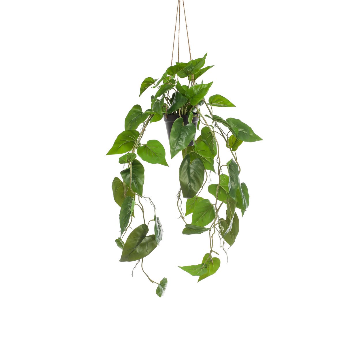 Kunstplant - Philodendron scandens - Klimmende Boomliefhebber - 80 cm