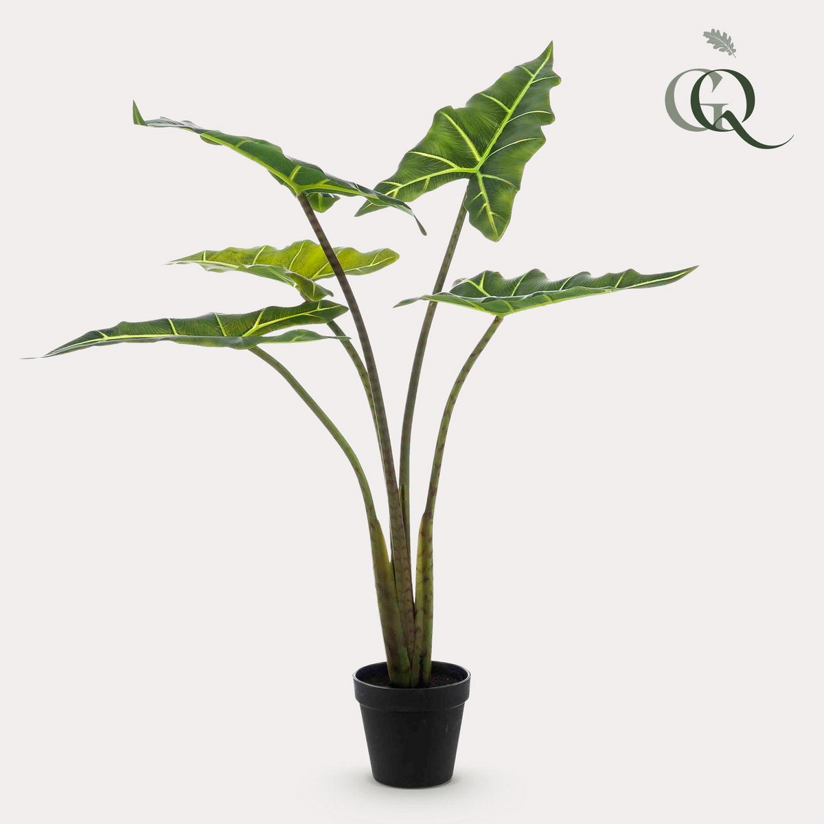 Kunstplant - Alocasia Frydek - Olifantsoor - 80 cm