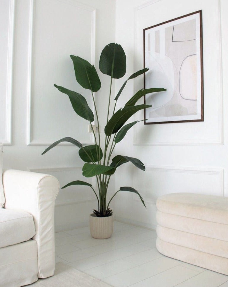 Kunstplant - Strelitzia Nicolai - Paradijsvogelbloem - 180 cm