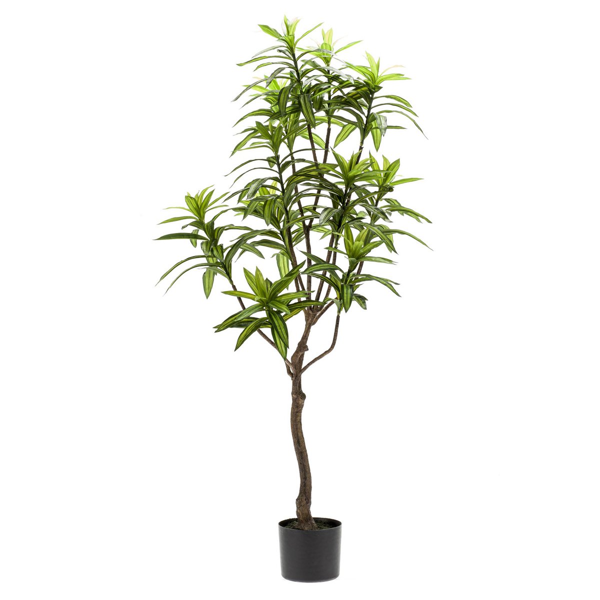 Kunstplant - Dracaena - Drakenboom - 130 cm