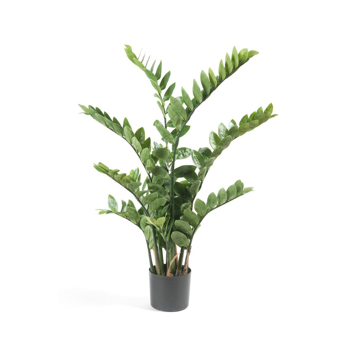 Kunstplant - Zamioculcas - Kamerpalm - 110 cm