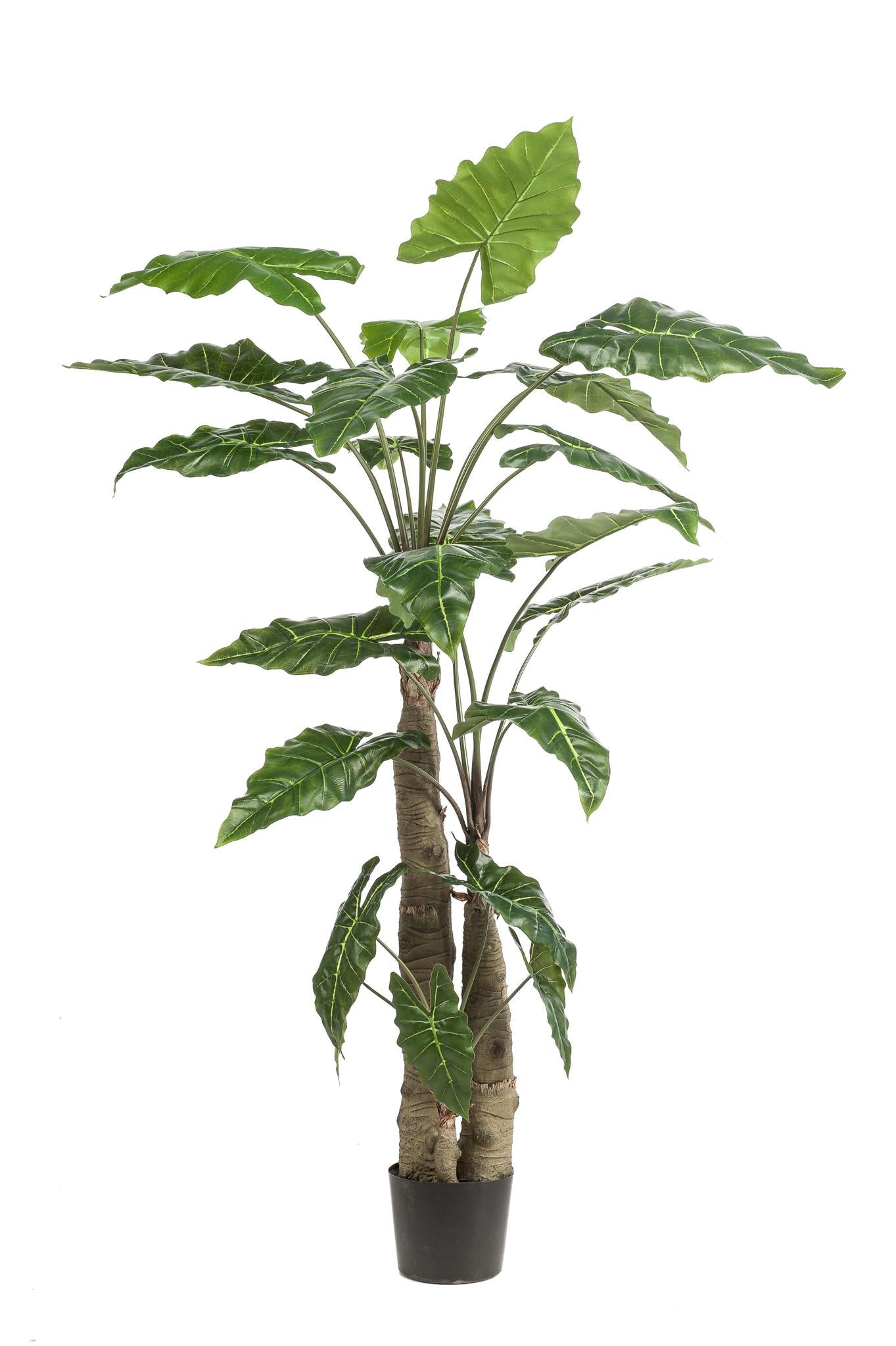 Kunstplant - Alocasia - Olifantsoor - 150 cm