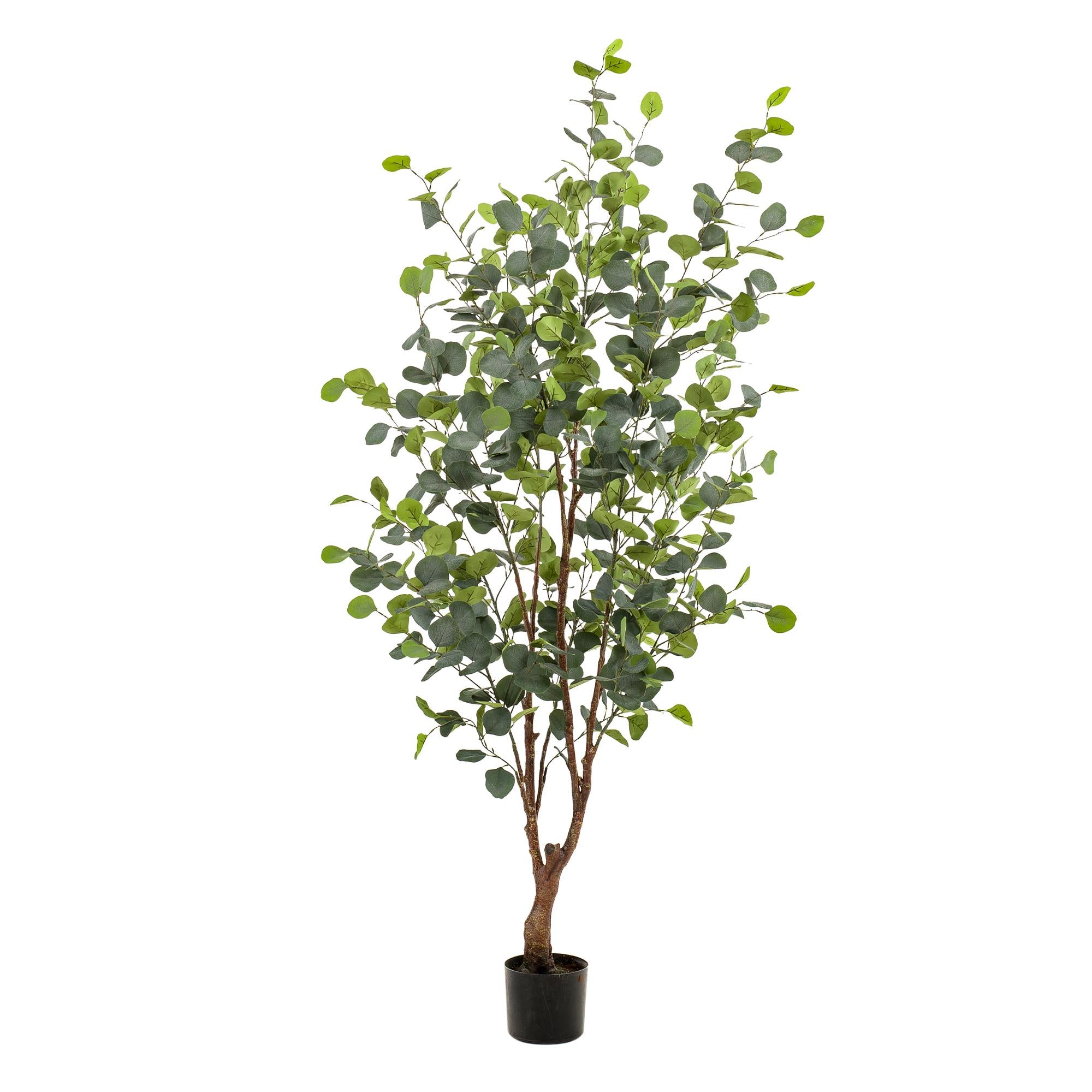 Kunstplant - Eucalyptus - Blauwe Gomboom - 140cm - 140