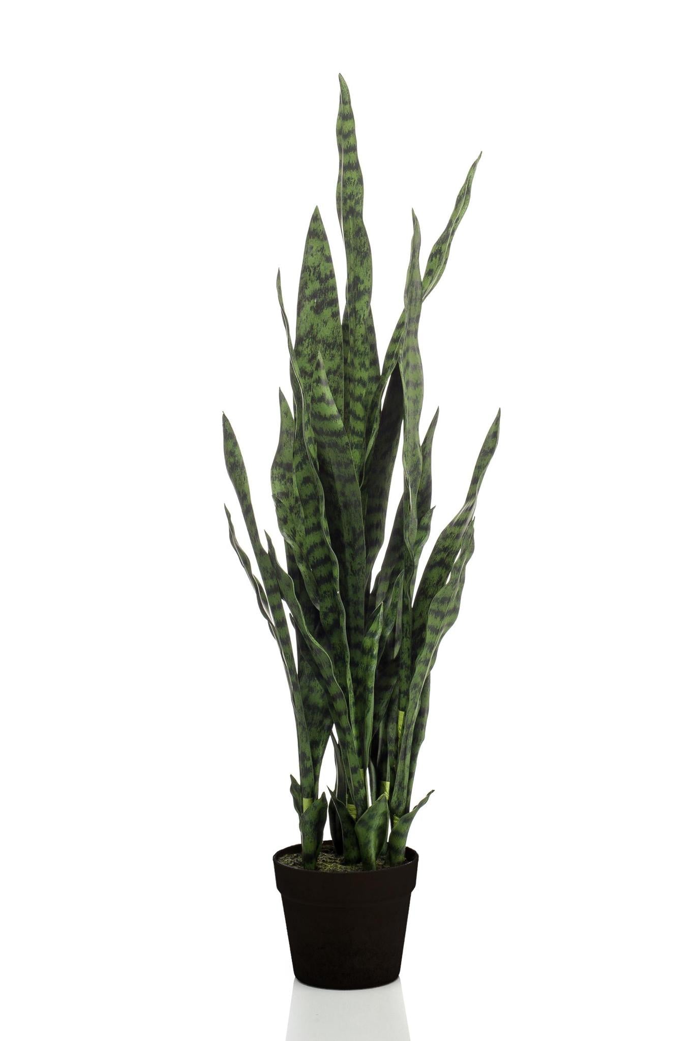 Kunstplant - Sanseveria black coral - Vrouwentong - 97 cm