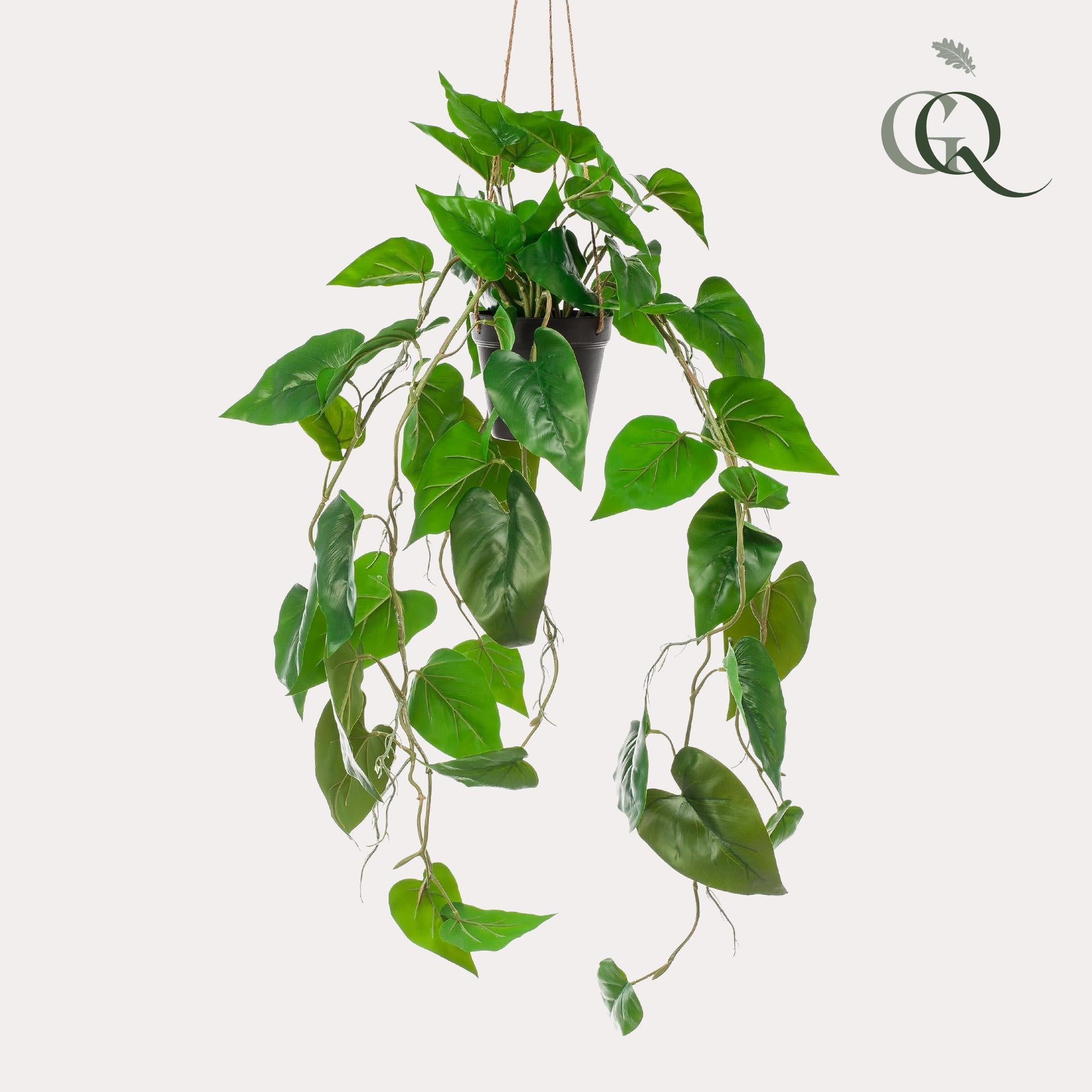 Kunstplant - Philodendron scandens - Klimmende Boomliefhebber - 80 cm