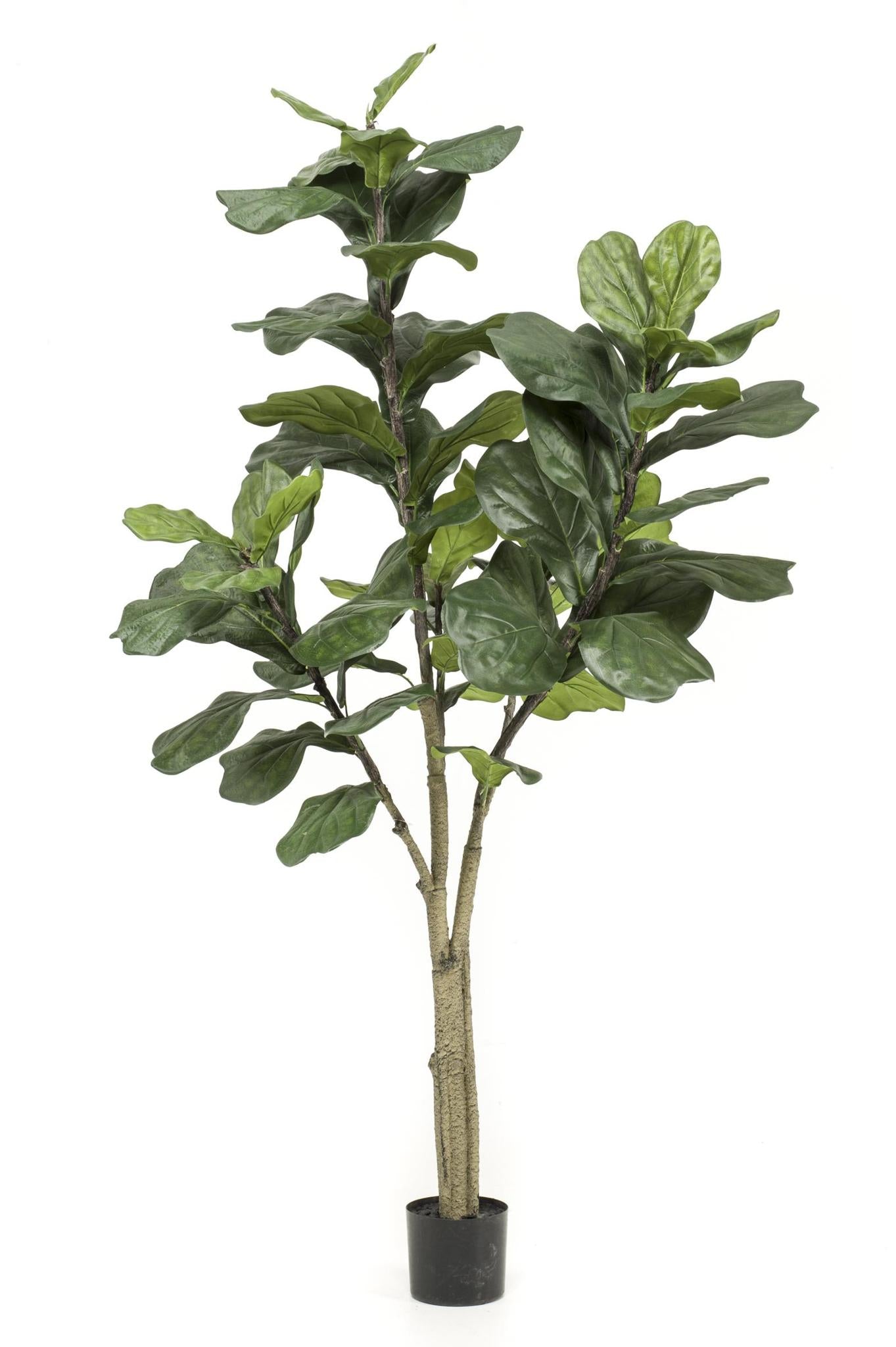 Kunstplant - Ficus Lyrata - Tabaksplant - 180 cm