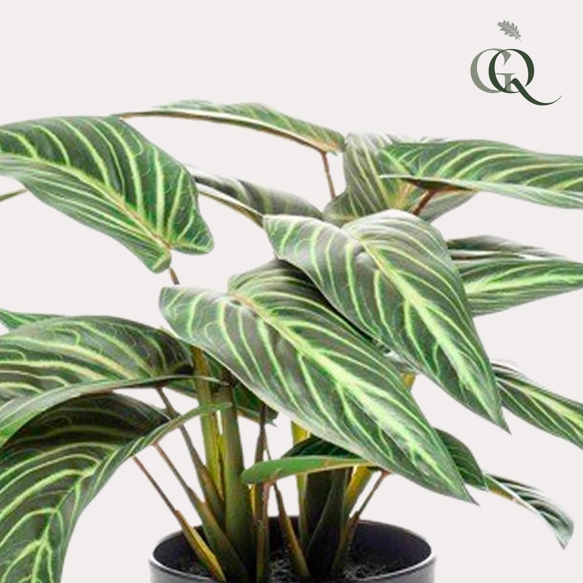 Kunstplant - Calathea Zebrina - Schaduwplant - 38 cm