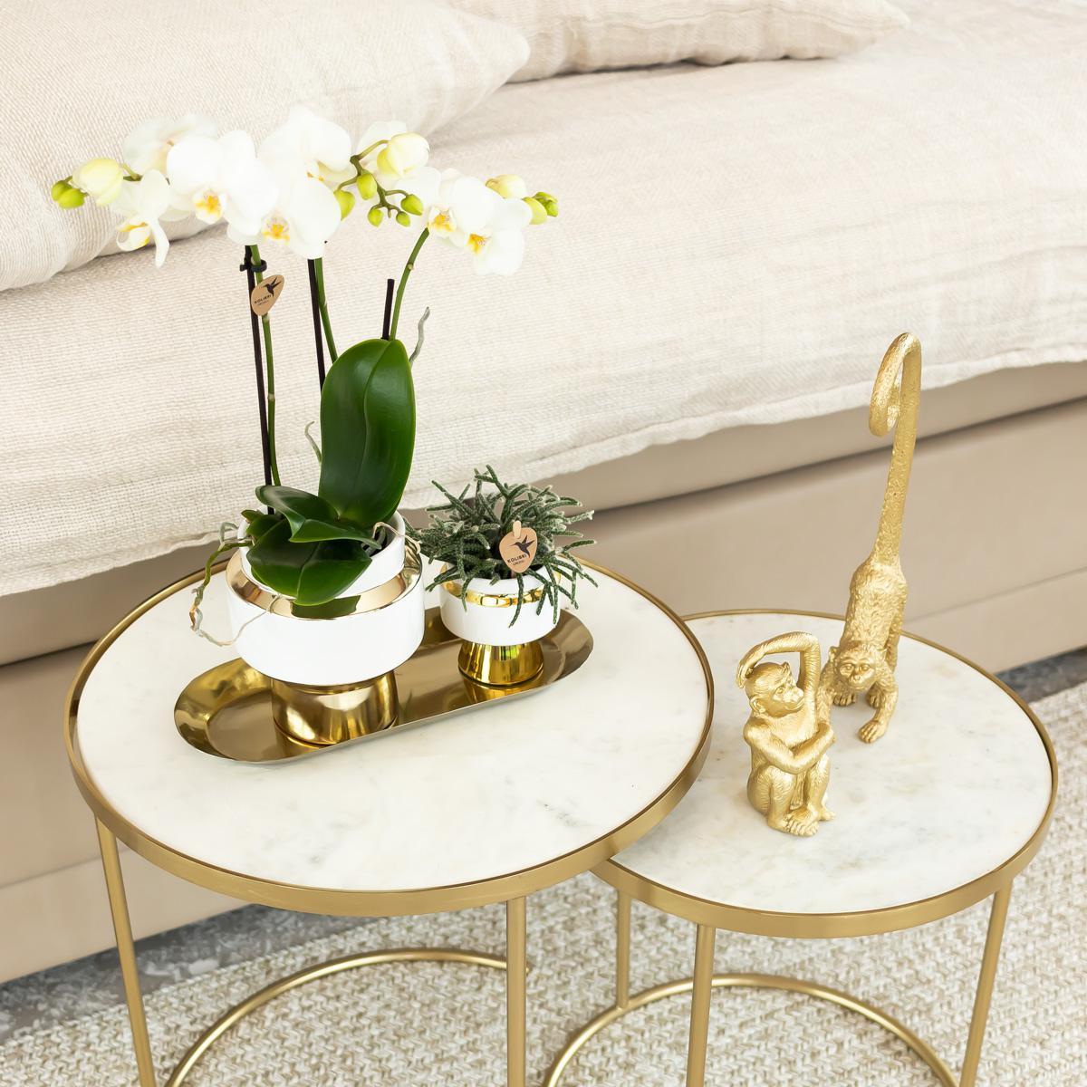 Kolibri Home | Ornament - Decoratie beeld Monkey long tail - Gold