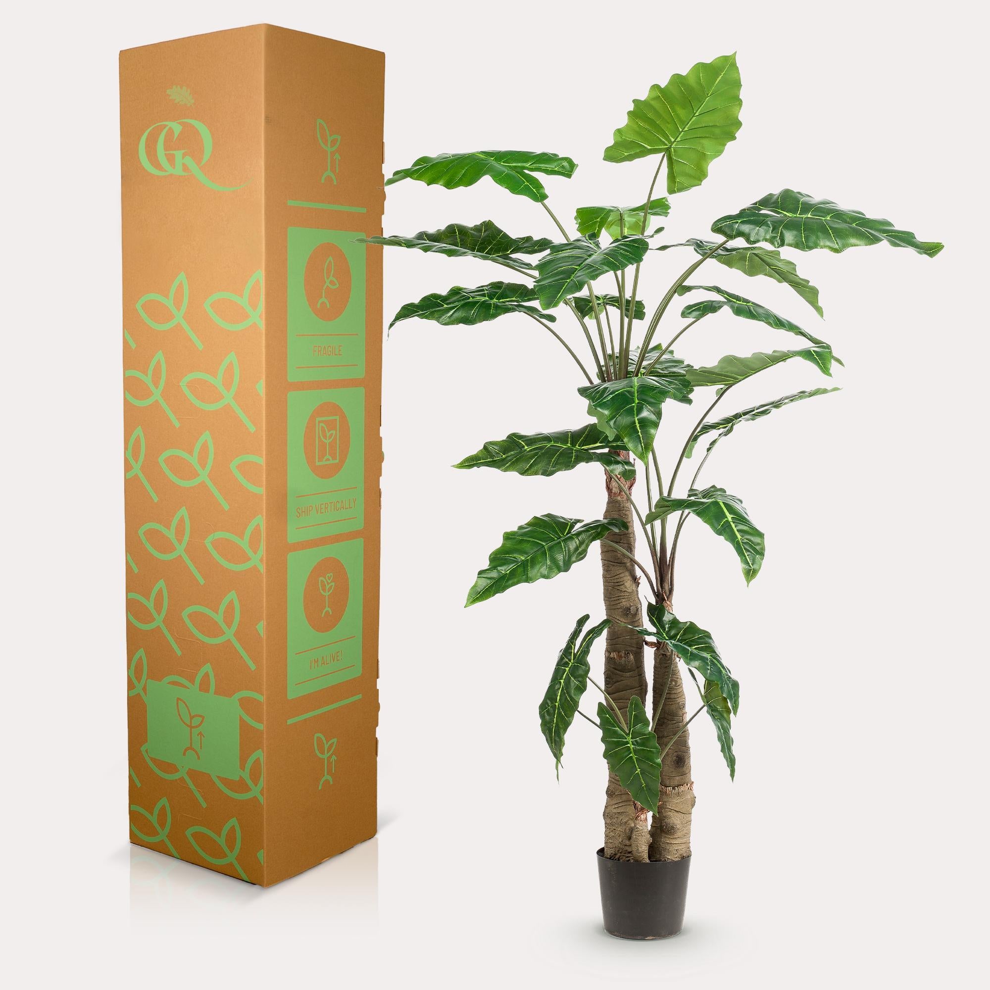 Kunstplant - Alocasia - Olifantsoor - 150 cm