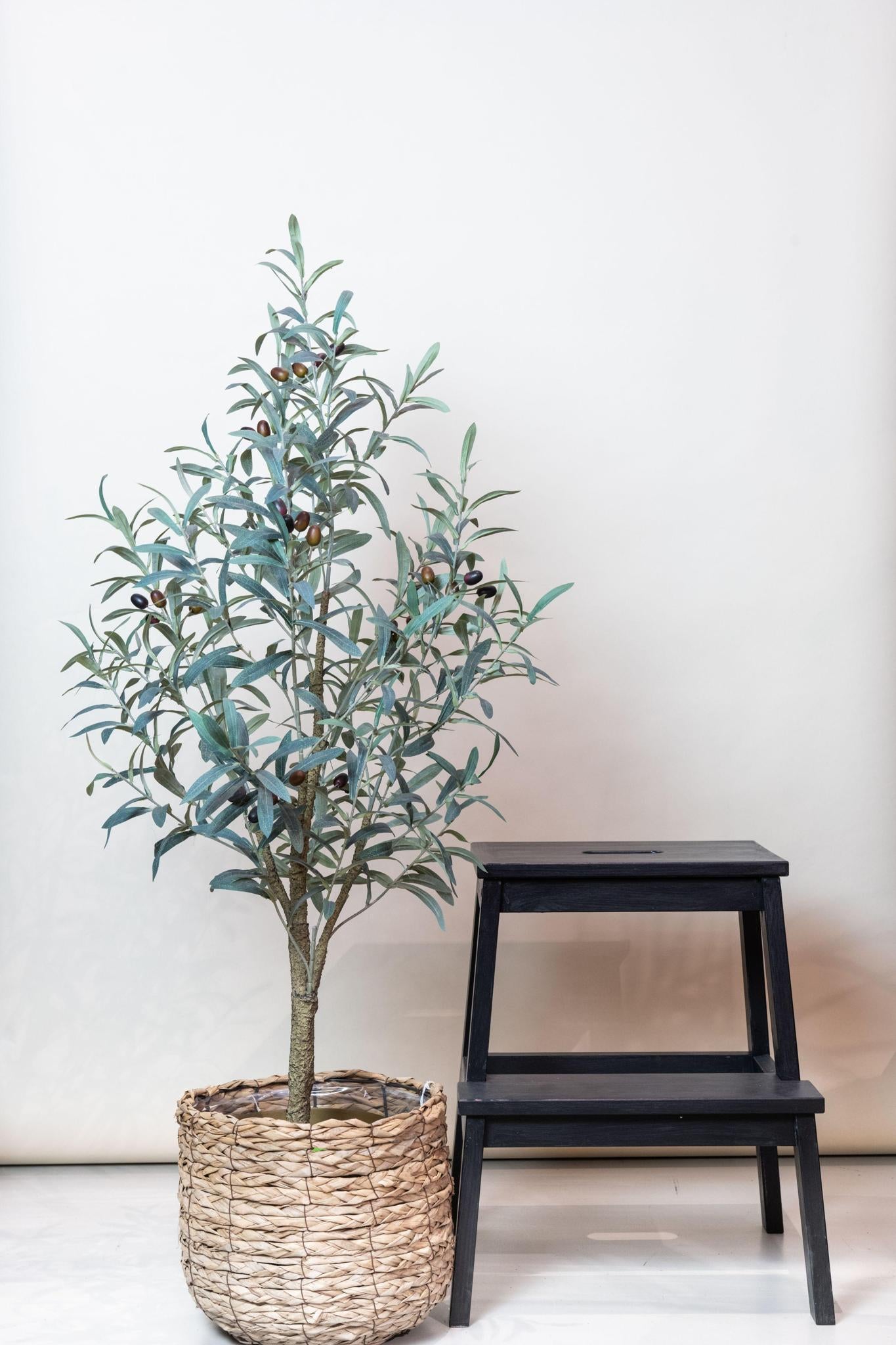 Kunst Olijfboom - Olea Europaea - Olijfboom - 115 cm