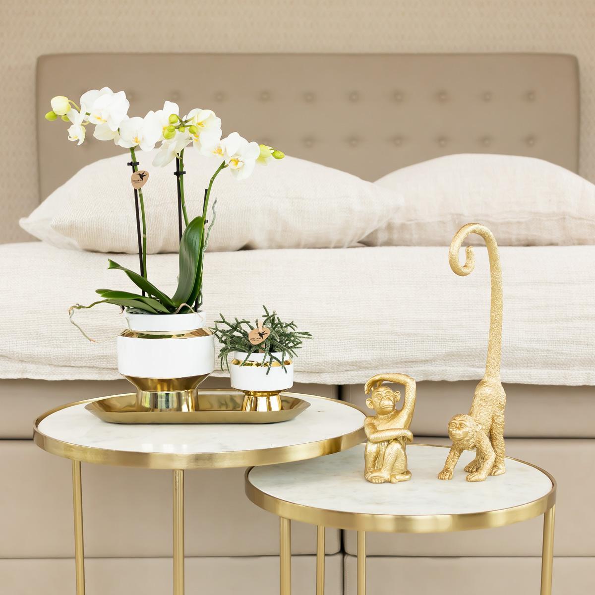 Kolibri Home | Ornament - Decoratie beeld Sitting Monkey - Gold